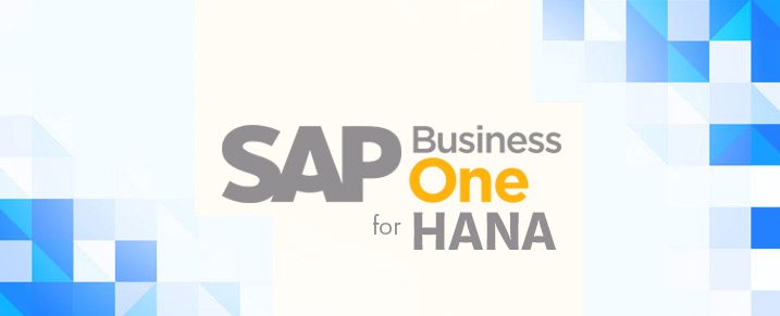 SAP Business One in the Cloud