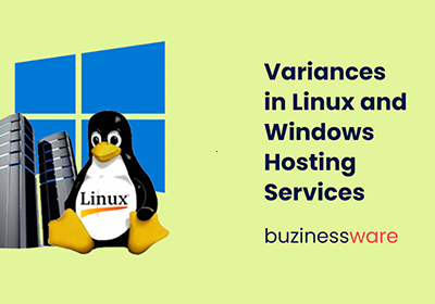 Variances in Linux and Windows Hosting Services